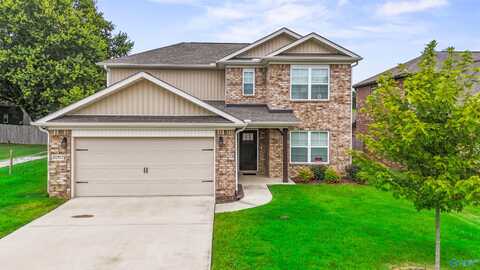 20117 Yarbrough Road, Athens, AL 35613