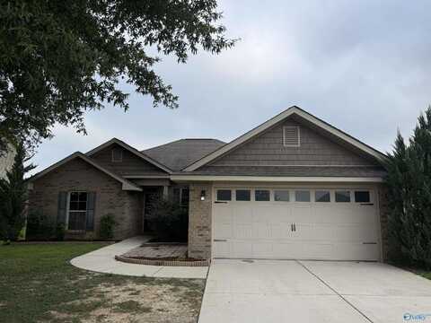 116 Rein Dance Lane, Owens Cross Roads, AL 35763