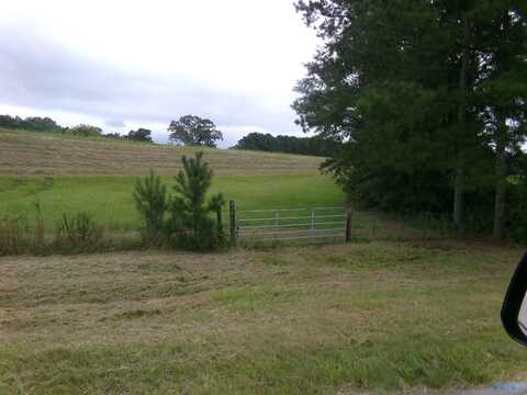 Lots 4- 9 County Road 235, Leesburg, AL 35983