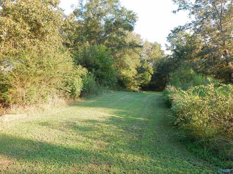 10 Acres Highway 55 East, Falkville, AL 35622