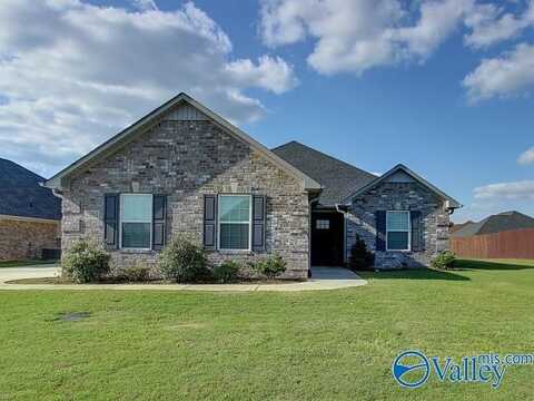 25861 Caldera Drive, Athens, AL 35613