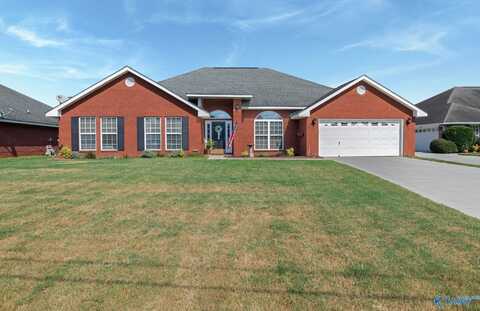 207 Brier Ridge Court, Madison, AL 35757