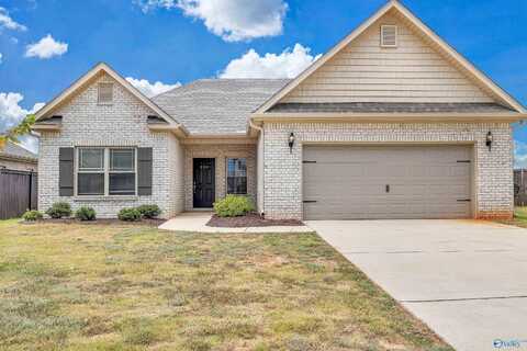 203 Portrait Street, Meridianville, AL 35759