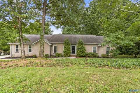 106 Briarwood Drive, Madison, AL 35758