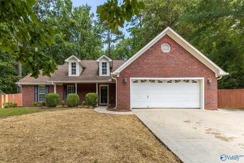 195 Raspberry Way, Madison, AL 35757