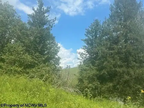 TBD Rt 250 Barbour County Highway, Belington, WV 26250