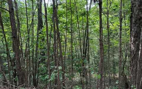Bluffs Of Cartecay, Ellijay, GA 30536