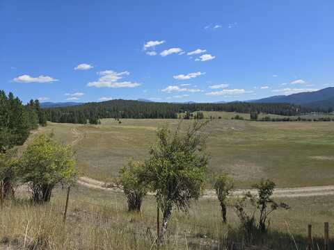 11XX KITT NARCISSE RD, COLVILLE, WA 99114