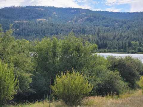 TBD CURLEW DR, REPUBLIC, WA 99166