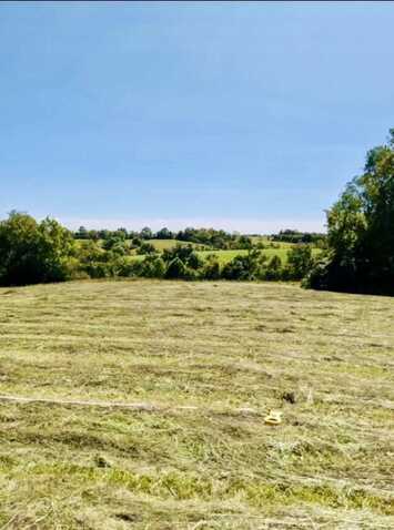 107-109 Hogans Mill Parkway, Dry Ridge, KY 41035