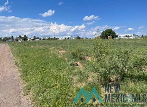 1234 Conchas Drive, Conchas Dam, NM 88416