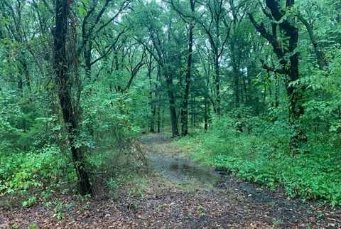 9744 Shady Lane, Quinlan, TX 75474