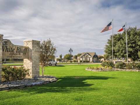 1646 White Bluff Drive, Whitney, TX 76692
