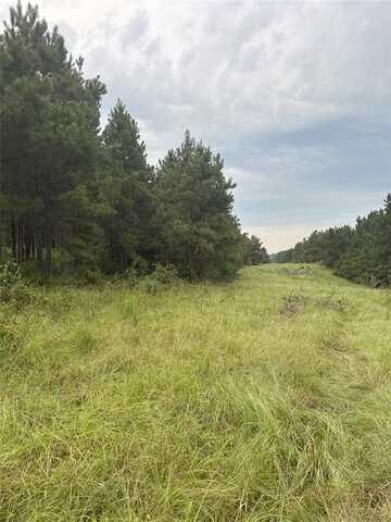 1388 County Road 1060, Center, TX 75935