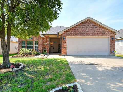 8532 Trinity Vista Trail, Fort Worth, TX 76053