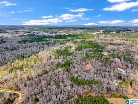 228 Persimmon Lane, Columbiana, AL 35051