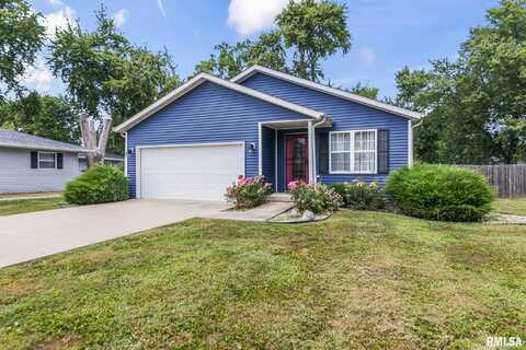 419 E CHESTNUT Street, Chatham, IL 62629