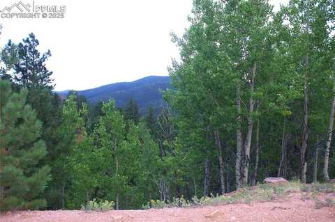 490 Grosbeak Circle, Divide, CO 80814
