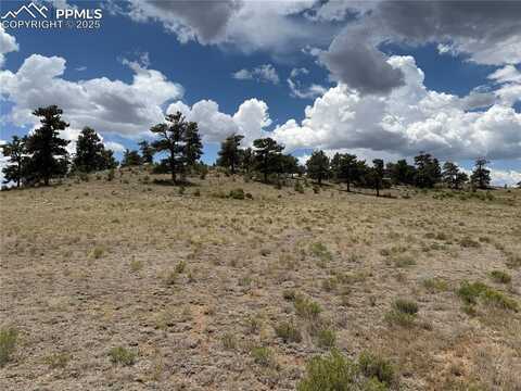 HoHoKan Trail, Hartsel, CO 80449