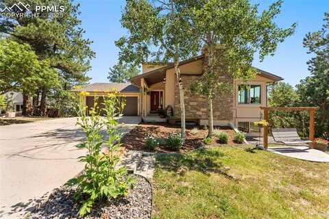 630 Larks Nest Way, Monument, CO 80132