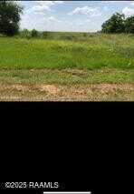 000 Cabrol Road, Abbeville, LA 70510