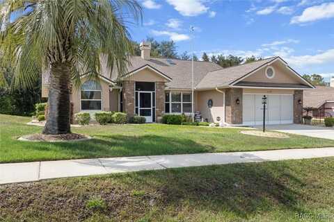 6120 N Misty Oak Terrace, Beverly Hills, FL 34465