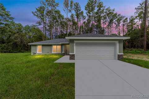 8439 N Lily Drive, Citrus Springs, FL 34434