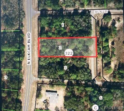 4985 N Elkcam Boulevard, Beverly Hills, FL 34465