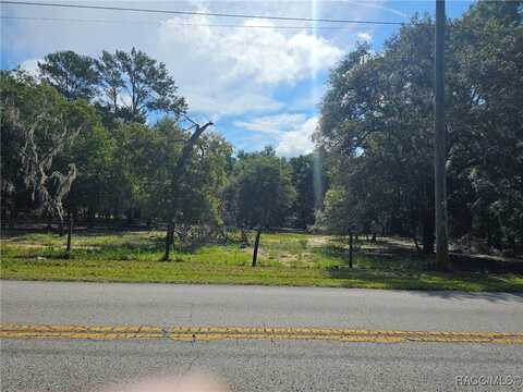 12089 Oakview Avenue S, Floral City, FL 34436