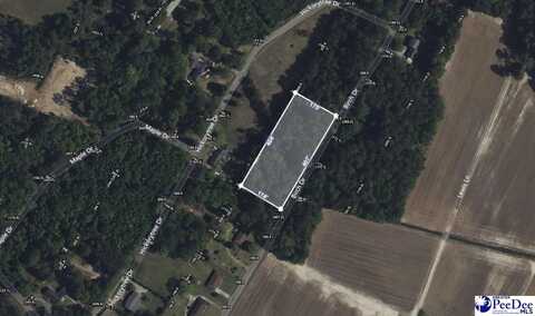 TBD Birch Dr., Hartsville, SC 29550