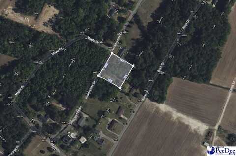 TBD Hickorytree Dr., Hartsville, SC 29550