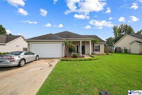 2917 Pavingstone Ct, Effingham, SC 29541