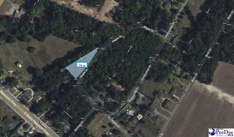 TBD Maple Dr., Hartsville, SC 29550