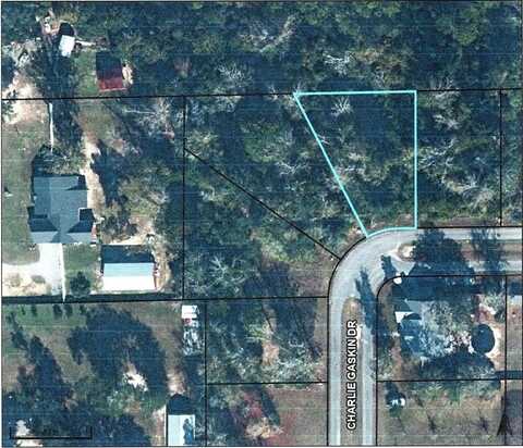 27 Charlie Gaskin Dr, Wewahitchka, FL 32465