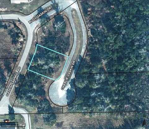 36 Charlie Gaskin Dr, Wewahitchka, FL 32465