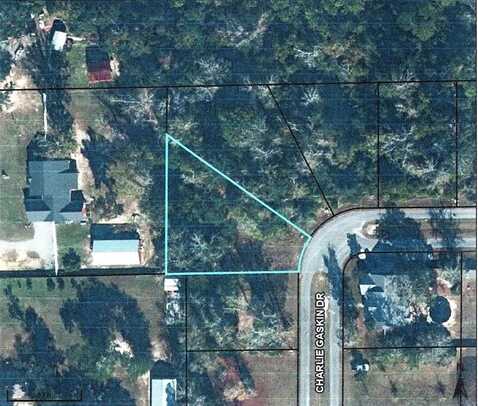 25 Charlie Gaskin Dr, Wewahitchka, FL 32465