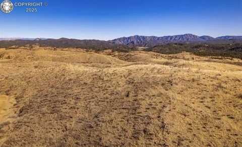 Tbd H Path, Cotopaxi, CO 81223