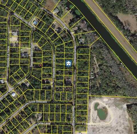 Und Undetermined, Ocklawaha, FL 32179