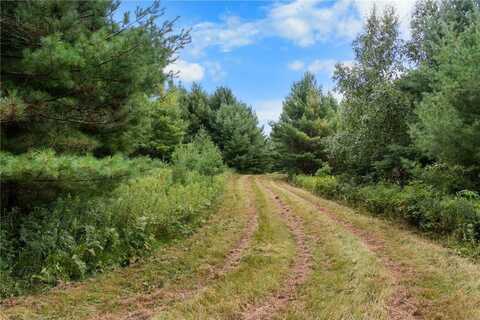 Tbd County F Road, Brooklyn, WI 54888