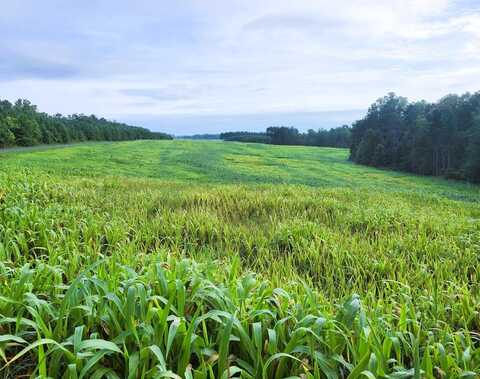 Banton Shop Road, Dillwyn, VA 23936