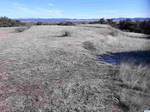 Old Ranch Road lot: 8, Tyrone, NM 88065
