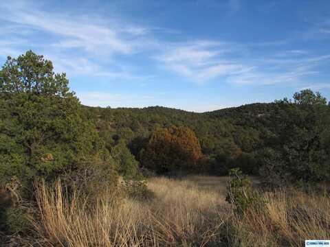 Camino De Viento Road, Silver City, NM 88061