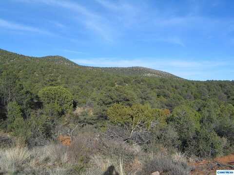 Camino De Viento Road, Silver City, NM 88061