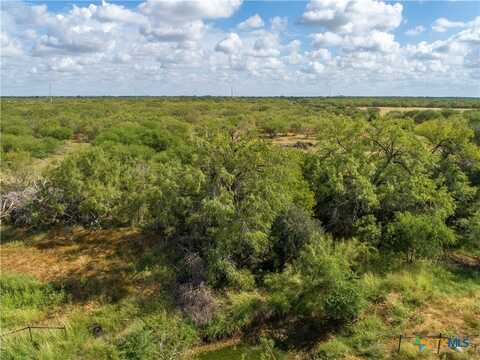546 PR Goose Creek Lane, Jourdanton, TX 78026