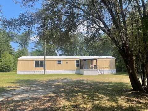 206 Plum Nelly, Bainbridge, GA 39817