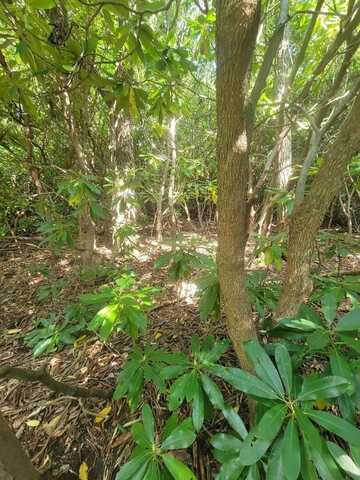 Tbd Edgeview Dr., Meadows of Dan, VA 24120