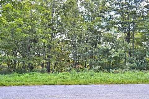 Lot 10 Holiday Lane, Whitetop, VA 24292