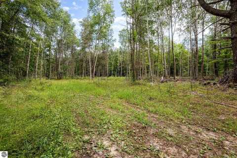 TBD E Klees Road, Crystal, MI 48818