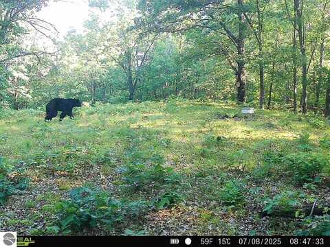 V/L N Hawkins Road, Luther, MI 49656