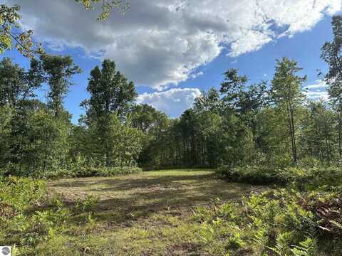 5304 S Brown Road, Cadillac, MI 49601